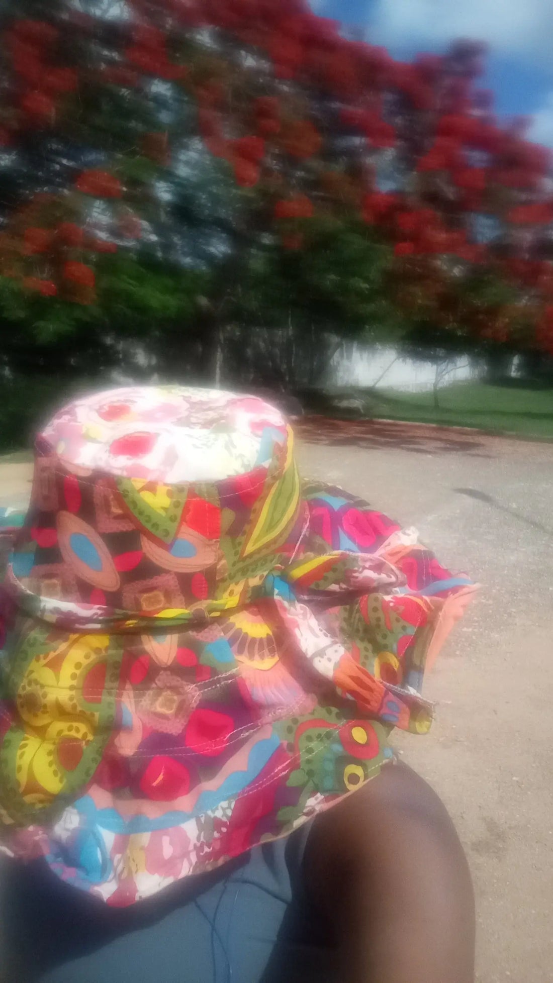 5 Unmissable Things to Do in Mérida This August (Local Expat Guide) Black Lion Botanicals