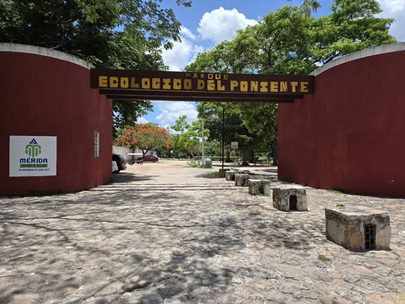 Parque Ecológico del Poniente: Mérida's Sunken Park Is the Outdoor Escape You Didn't Know Was Right Inside the City