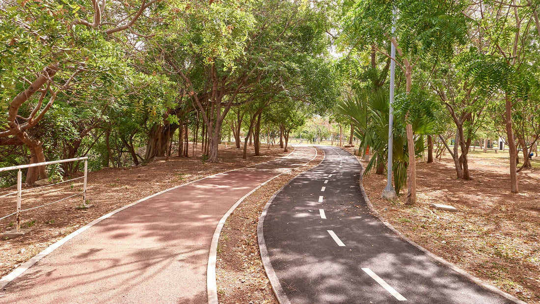 Parque Bepensa: The Park That Held Our Years in Yucalpetén