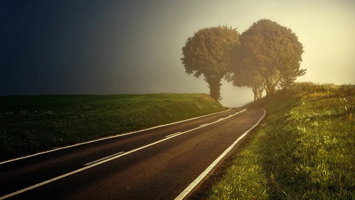 road between grasses