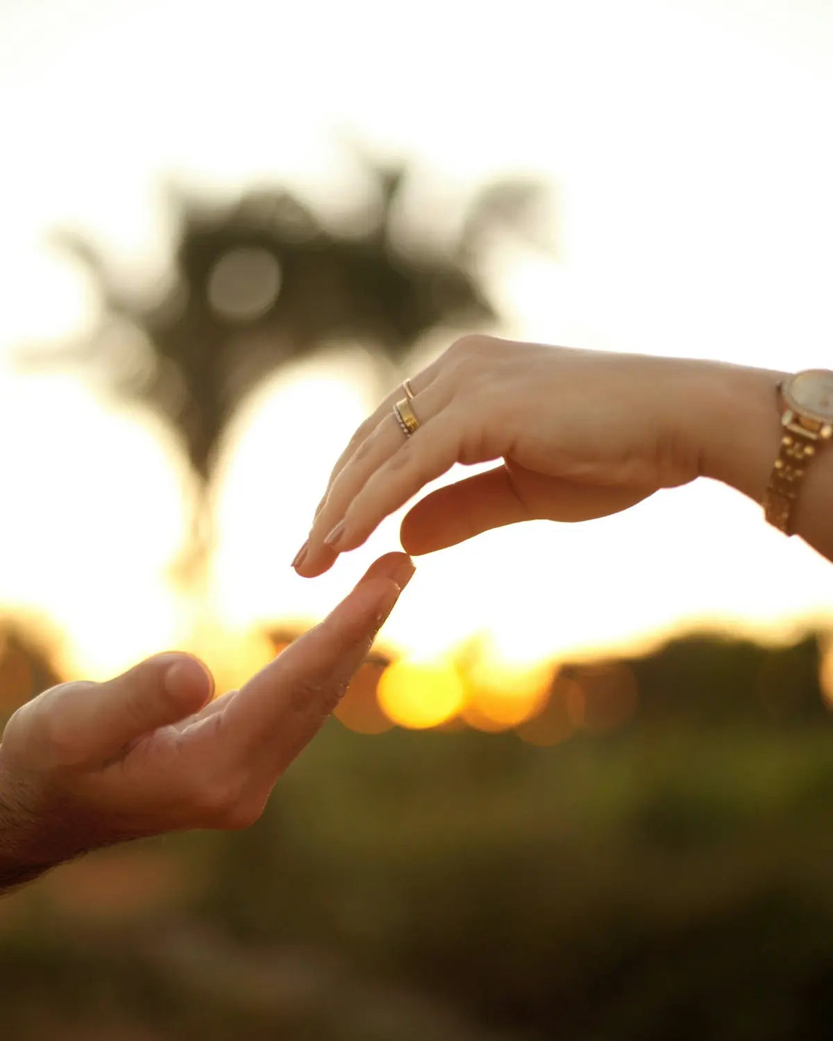 Couple's hands touching, showcasing connection and love.